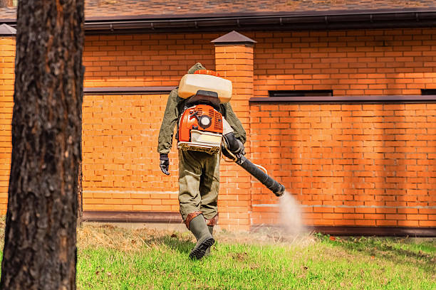 Bed Bug Clearance Verification and Documentation in Culloden